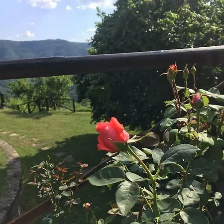 Casale 36 Casa vacanze Cortona