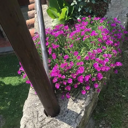 Casale 36
